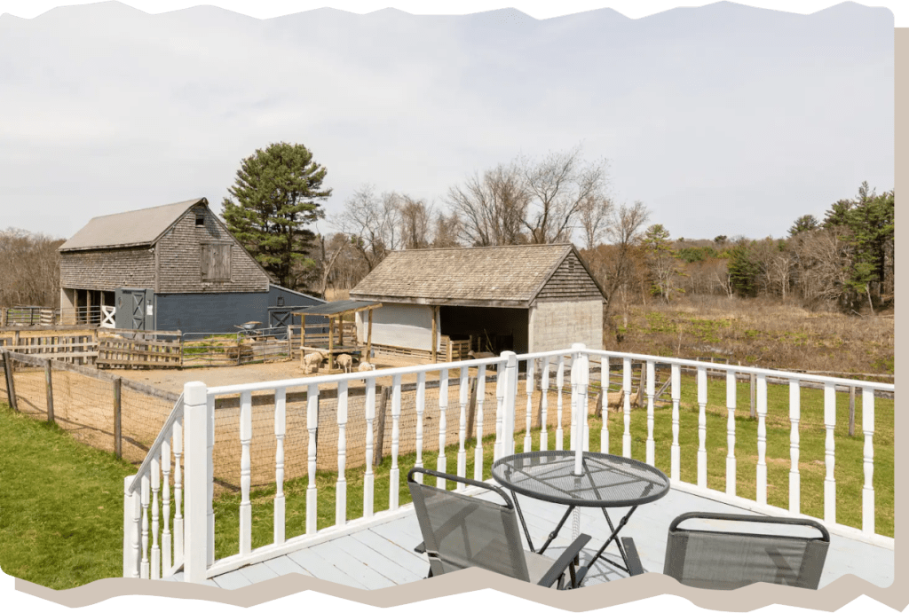 View from the porch of the Windy Knob Cottage Airbnb, overlooking the farm's barns and enclosures.